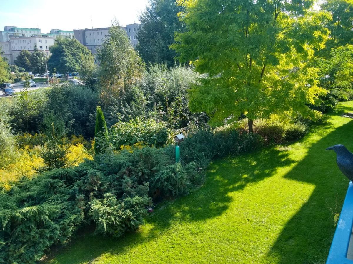 Green Apartment Z Bezplatnym Parkingiem Allenstein Exterior foto